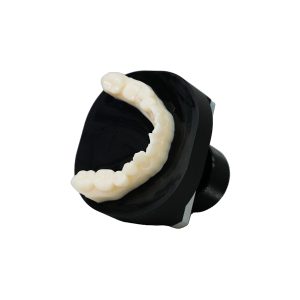 Dental Conduit - 3D Printing - Accessories - Ackuretta - SOL Medium Build Platform